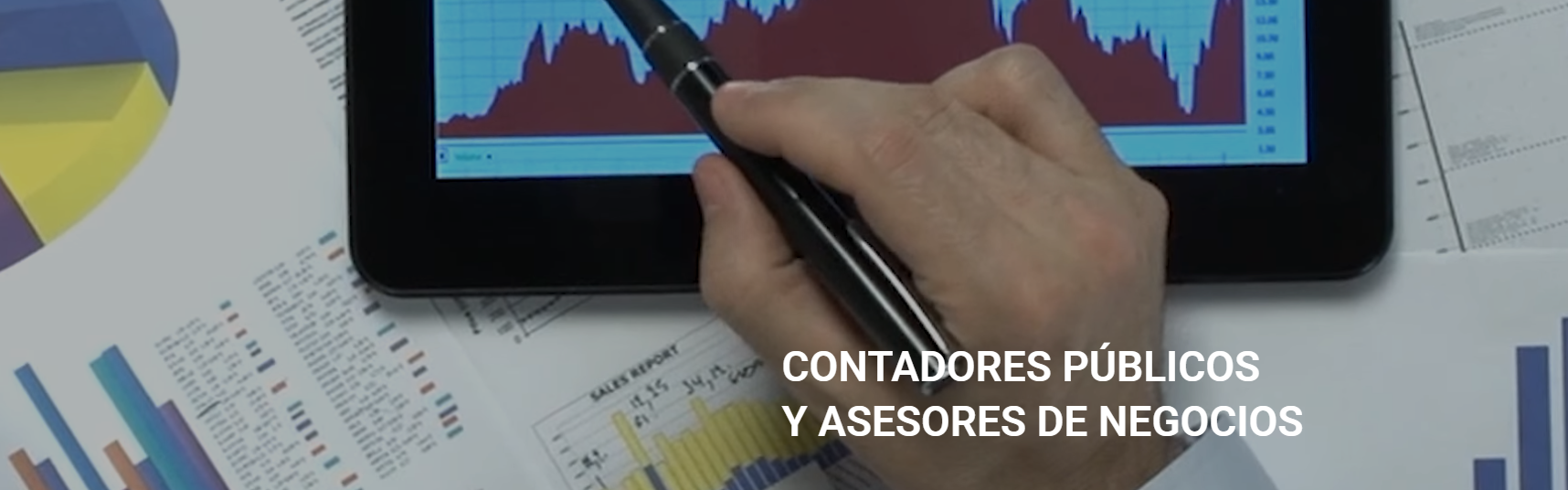 asesor.png